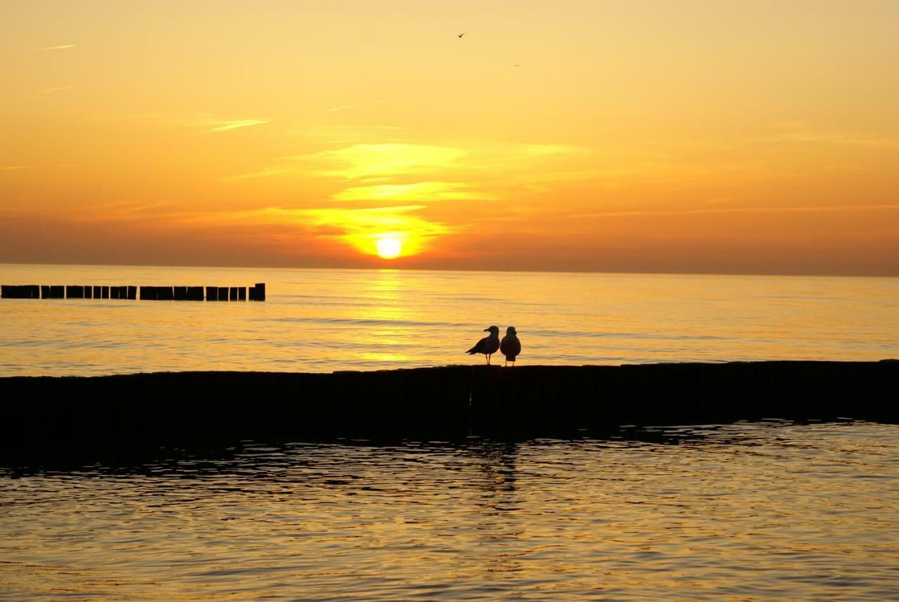 Ostsee Ferienwohnungen Graal-Mueritz Exterior foto